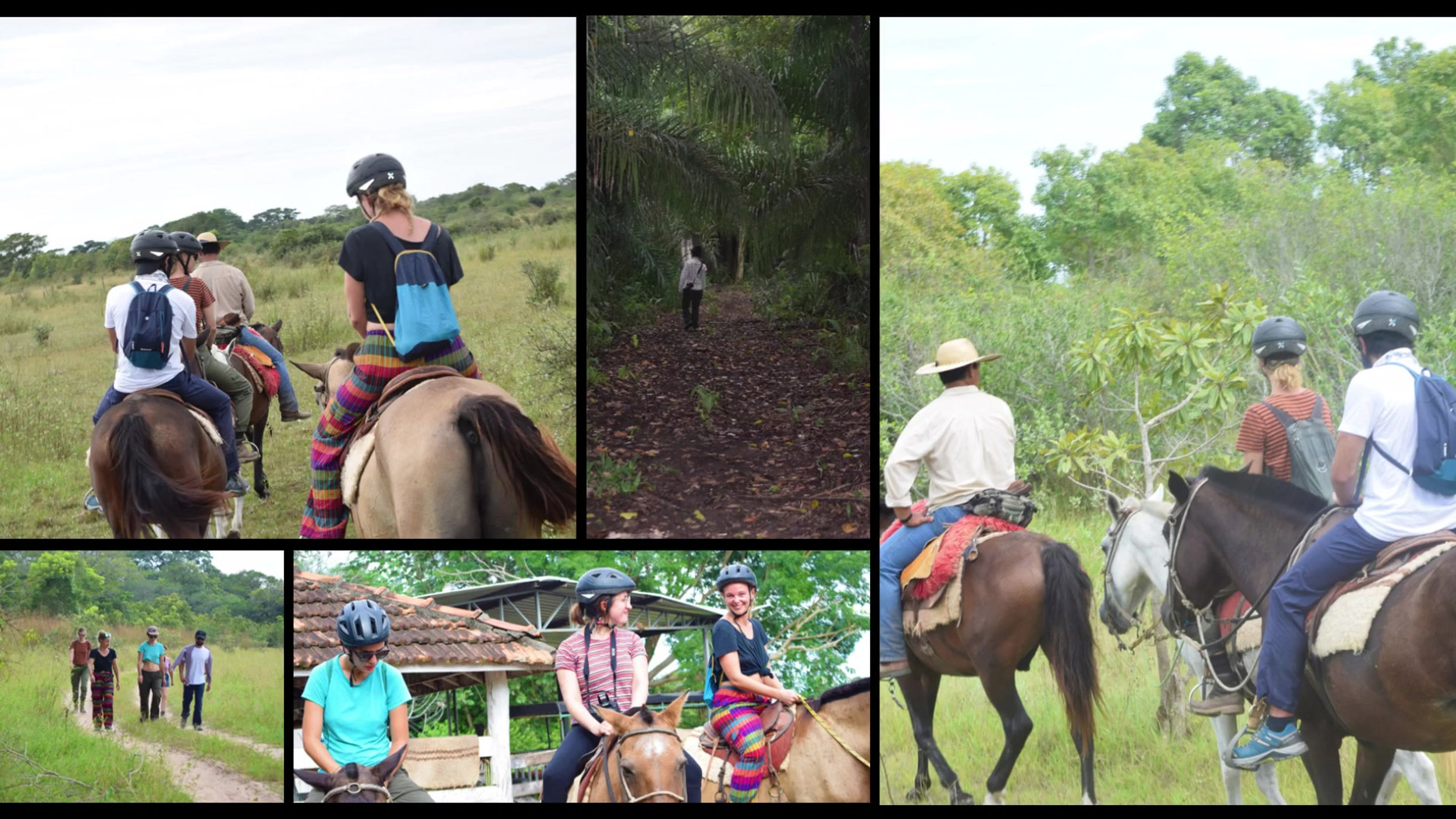 Tropical Ecosystems Field Course_IMAE 2019.